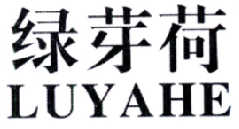 周明辉：派头,及绿芽荷转让授权