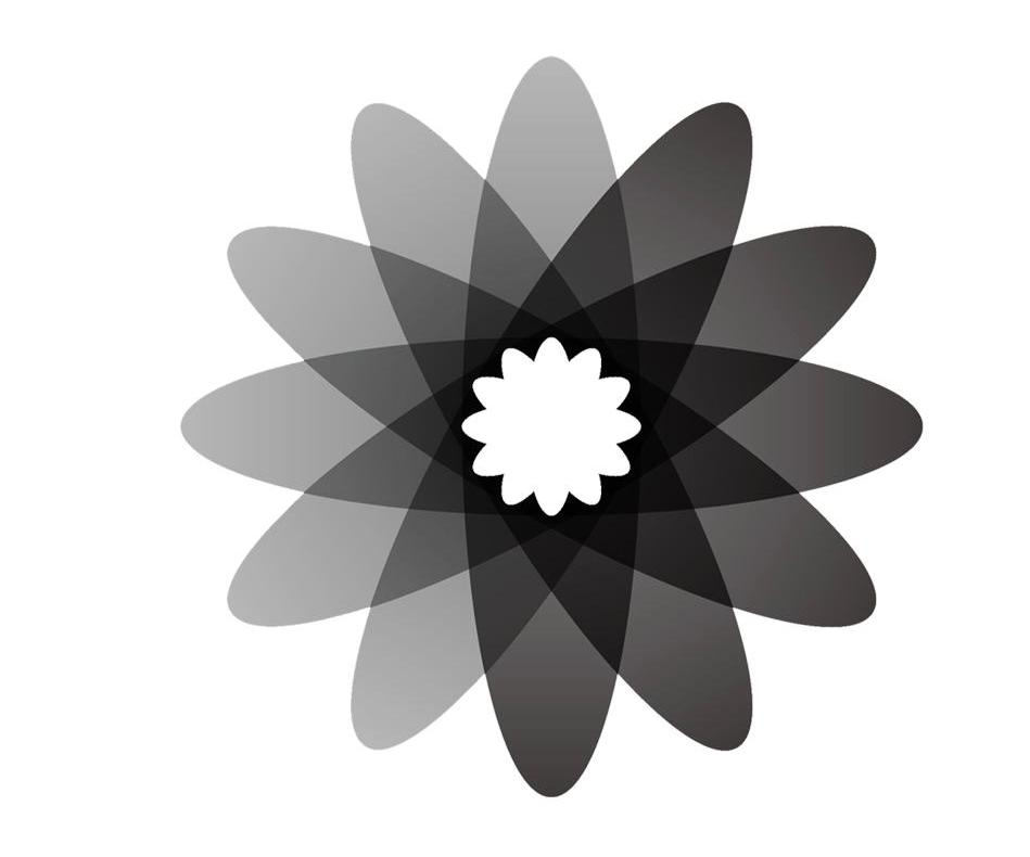 吉林省玖正源健康科技有限公司：玖正源,及图形转让授权