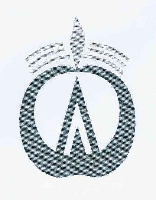 西安村堡信息科技有限公司：村堡,及图形转让授权