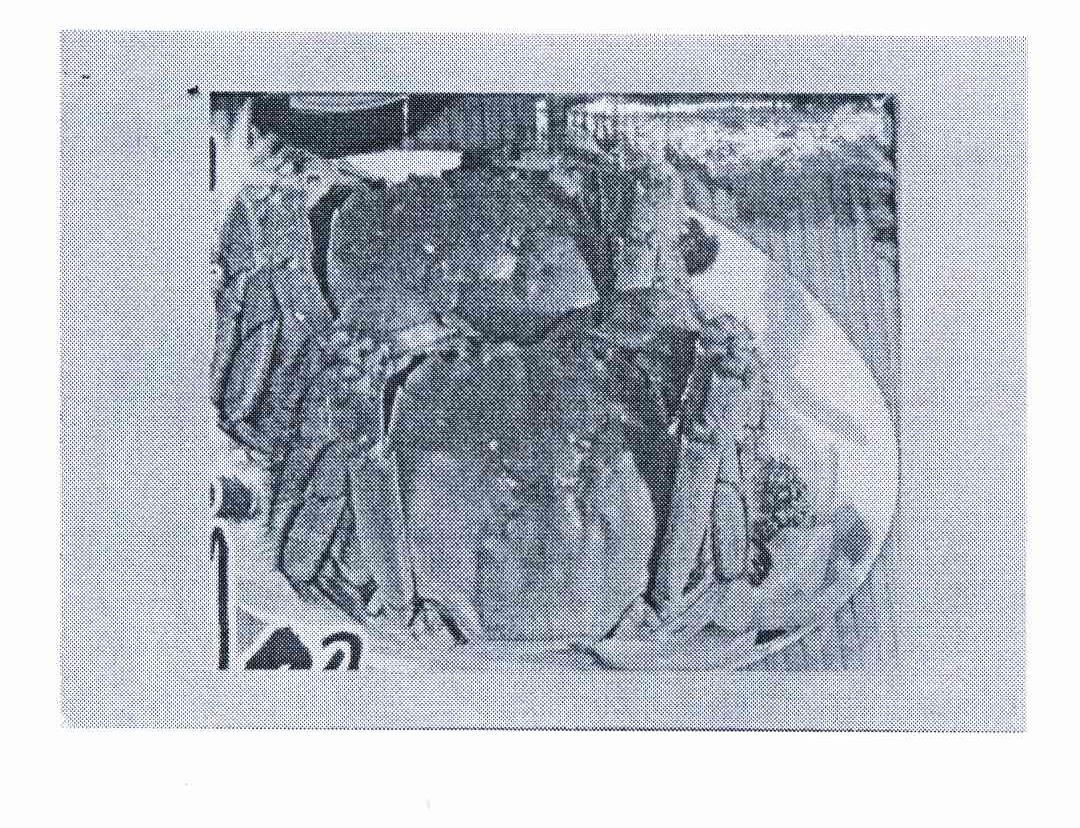 西安村堡信息科技有限公司：村堡,及图形转让授权